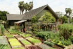 maksimalkan pekarangan rumah agar menjadi lebih indah